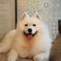 𝓽𝓱 💚 (@nrthip) 's Twitter Profile