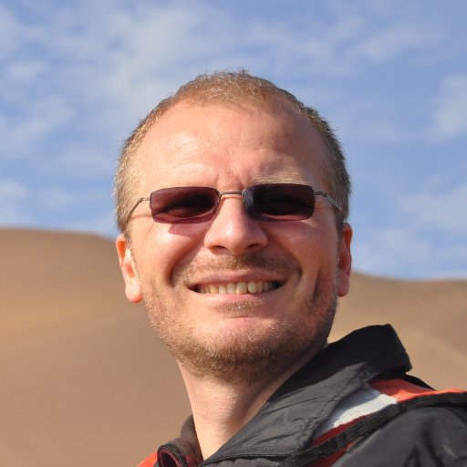 Professor of Pathology, Head of Pathology Department, Grigore T. Popa University of Medicine and Pharmacy Iasi, Romania