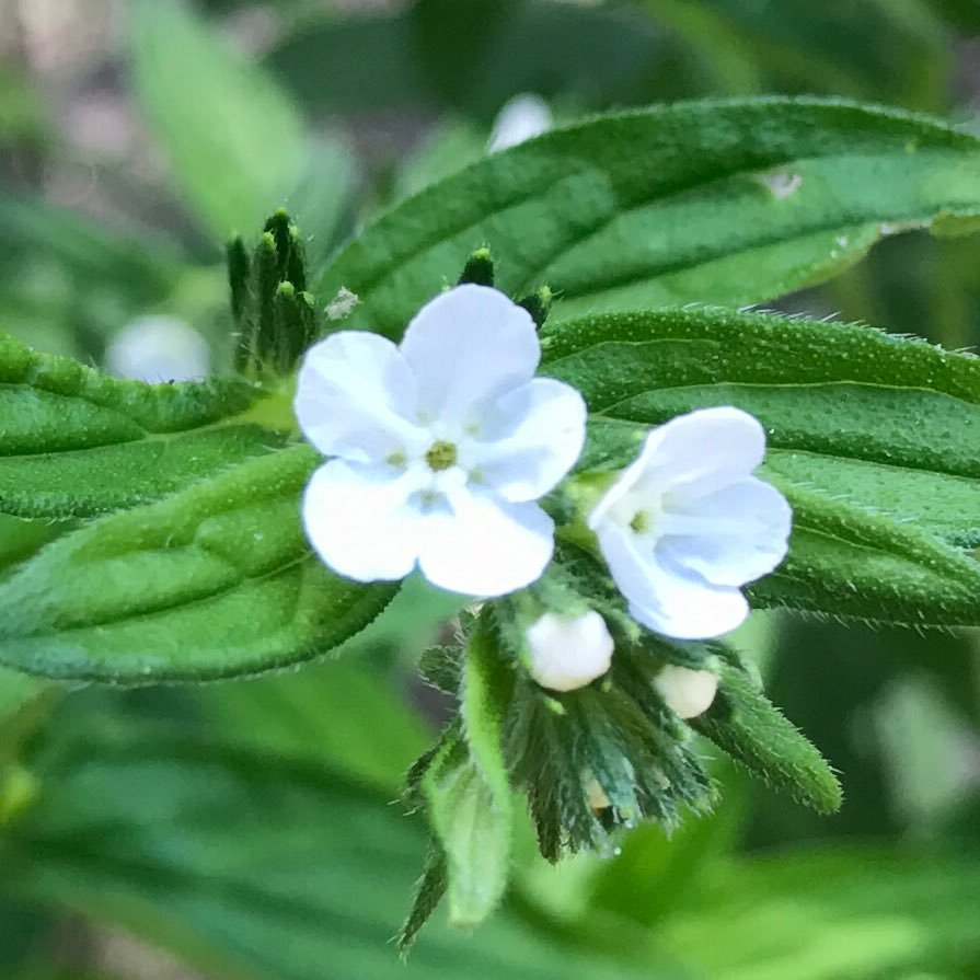 chikanin47's profile picture. NMB48を応援するお気楽アカウントです(^^) 基本は箱推しDDですが、川上千尋さん、本郷柚巴ちゃん、小嶋花梨さん、上西怜ちゃん、塩月希依音ちゃん、浅尾桃香ちゃん、佐月愛果ちゃん、坂下真心ちゃん、松岡さくらちゃんが今は特に推しです。お気楽にのんびりと呟くのをモットーに。なのでお気軽に覗いていただければと(⌒∇⌒)