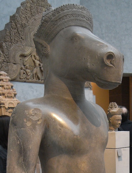 lalalarakko's profile picture. An evolutionary-minded social psychologist, Department of Behavioral Science, Hokkaido University