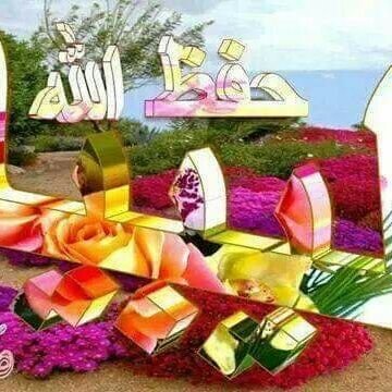 728493bbf56a488's profile picture. 