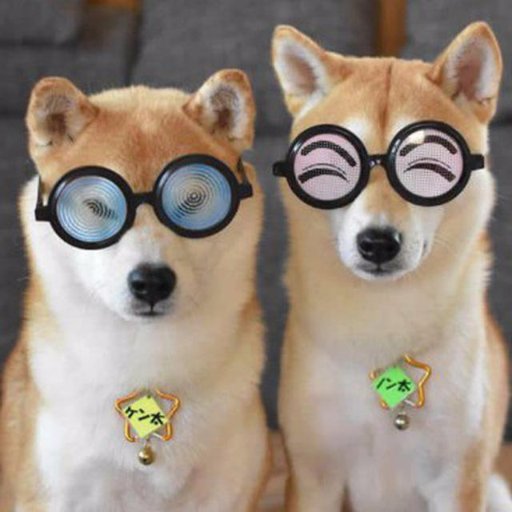 i_akhmadullin's profile picture. 