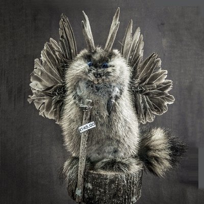 Profile Picture of ⓈⓉⓊ ⒷⓁⒶⒾⓇ (@stublair) on Twitter