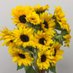full bloom(フルブルーム) (@flowerjks0405) Twitter profile photo full bloom(フルブルーム) (@flowerjks0405) Twitter profile photo