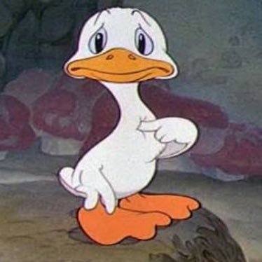 patitosalado's profile picture. 