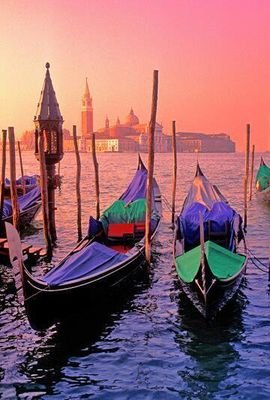 ahmedmo57413712's profile picture. 