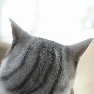 11noxon11's profile picture. 鬱病。その他いろいろ生きづらい人間です。