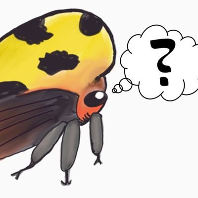 Real Entomologists, @Stylopidae, @Ms_Mars, and @SciBugs answer your questions about bugs!

Shoot us a question below!