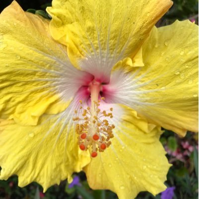 AlexisMarieRo's profile picture. 