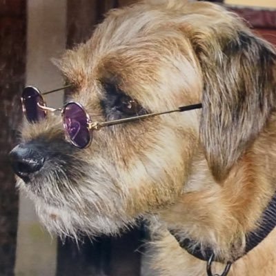 MaxInEngland's profile picture. True tales of Maxwell Smart: An American Border Terrier exploring and eating my way through England. 🇺🇸🇬🇧🐾#KathyFeeney
