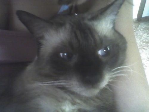 yo_nora's profile picture. 