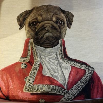 cosjavi's profile picture. 