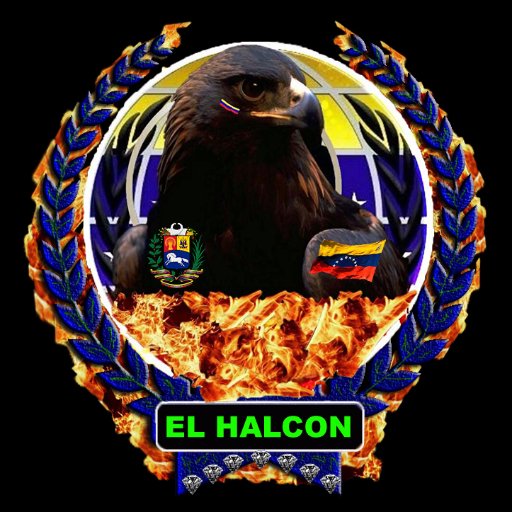 UNA VIDA QUE PELEA POR OTRAS,
ES UNA VIDA QUE VALE LA PENA VIVIR.
VALOR DETERMINACIÓN JUSTICIA Y FE.
CABALLEROS TEMPLARIOS.