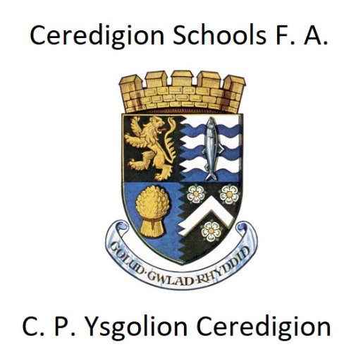 Ceredigion Schools' F. A. is responsible for the running of Participation Projects and Primary Festivals for Boys & Girls