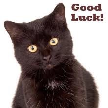 VictoriaAslanis's profile picture. Optimistic,pragmatist,positive thinking,and very lucky to work with animals.