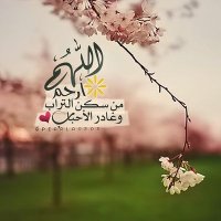 محذوووف نهائي (@a_200017) Twitter profile photo