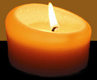 4humans's profile picture. Human rights news from respected sources.