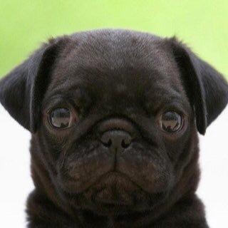 Bradley36774714's profile picture. 