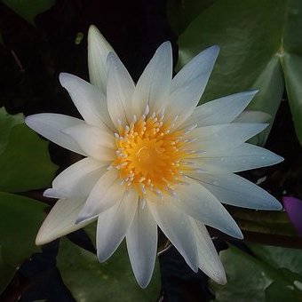 4sbona's profile picture. 