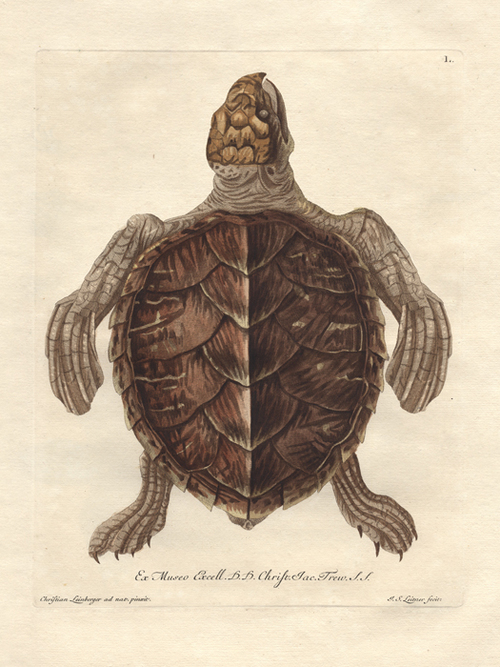 culbeson's profile picture. Antique print dealer and Giclee print producer. 27M. Blessed with 2 amazing kids and an even more amazing wife. God is good