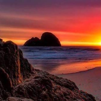 723Magnus's profile picture. 