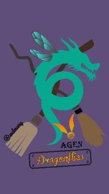 Twitter officiel de l'équipe de quidditch d'Agen : Dragonflies ! 1er place du tournoi du Grand Sud en équipe mixte avec Auch.