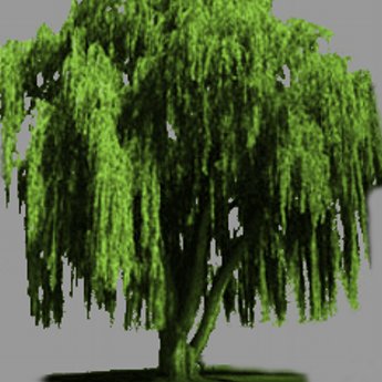 ywgetwealthy's profile picture. I am an online network marketer and show other people how they can take their business online. https://t.co/QJgfi6SGu1