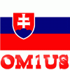 A minister after the order of Gershon, Kohath, and Merari (Numbers 3)