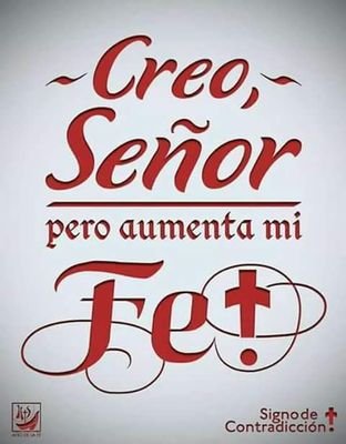 PildorasAmor's profile picture. Ciudadana del mundo