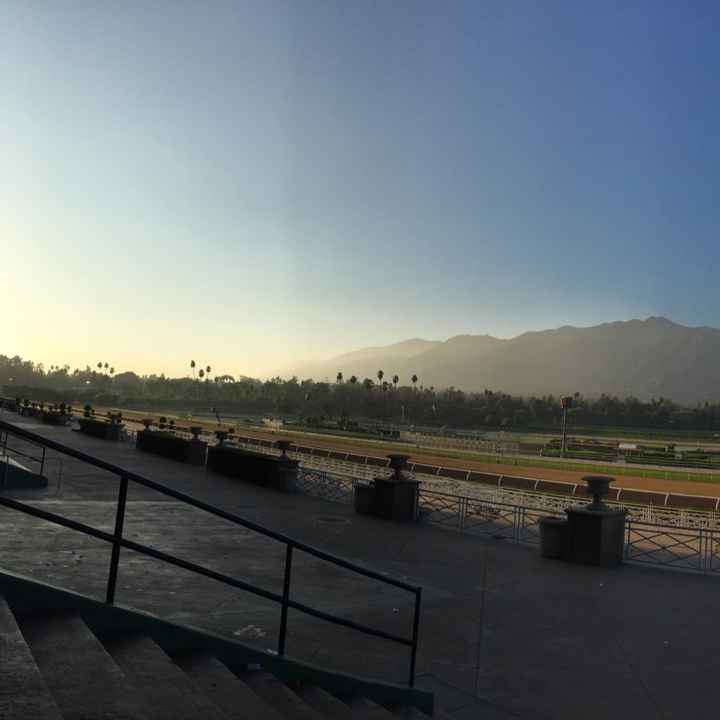 selflovenoharm's profile picture. 