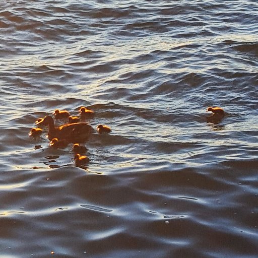 ocdlife_ip's profile picture. I have OCD, depression & anxiety and I'm an OCD advocate. Bringing awareness to mental health. Helping others be heard and find help. Lift the stigma together!