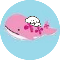 いさな (@isana_sun) 's Twitter Profile