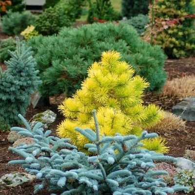 DesignGarde's profile picture. Garden design  
+9955 99 52 67 67
+995 555 45 88 69
Info@gardendesign.ge
https://t.co/0c0TuHmFfp.2015@gmail.com
https://t.co/7Va5hsxrkK