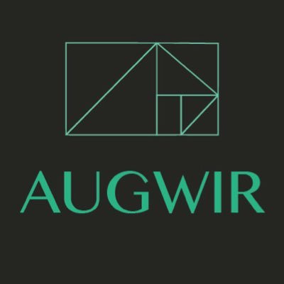 augwir's profile picture. AR + VR + MR = we are AUGWIR