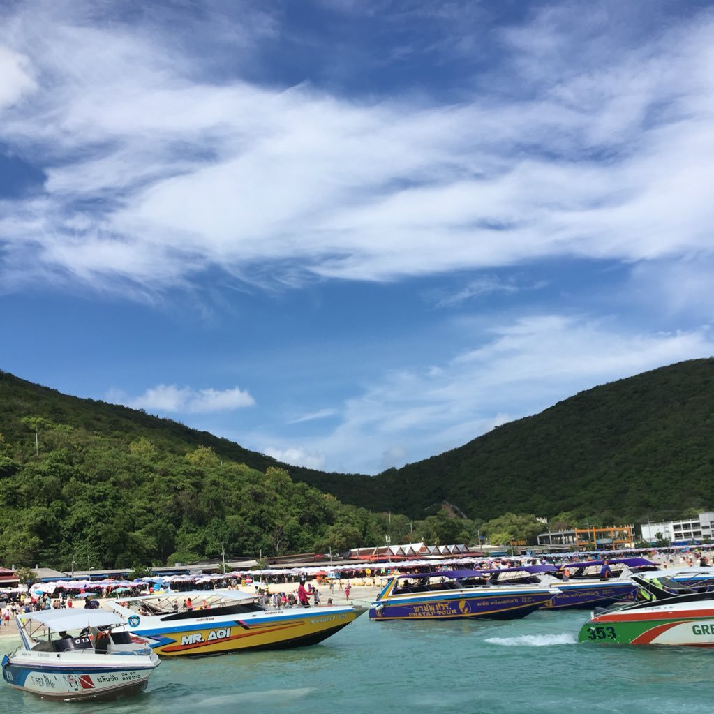 virpatel91's profile picture. 