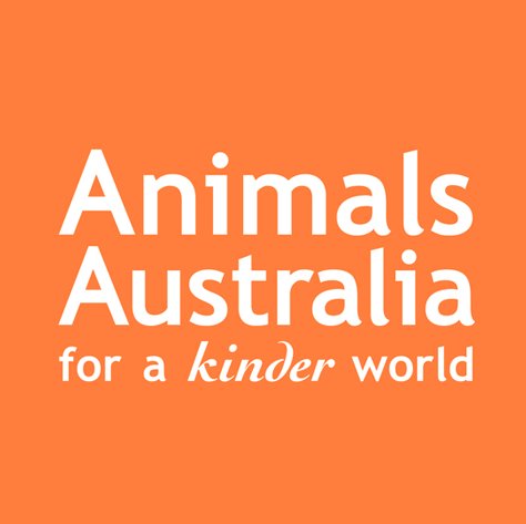 Australia's foremost national animal protection agency.
Join us on our journey to create a kinder world — for everyone. *We don't read DMs, please e-mail us*