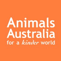 Animals Australia(@AnimalsAus) 's Twitter Profile Photo