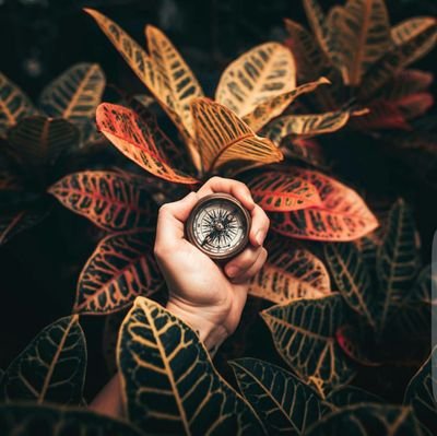 iPaladinnn's profile picture. Bio