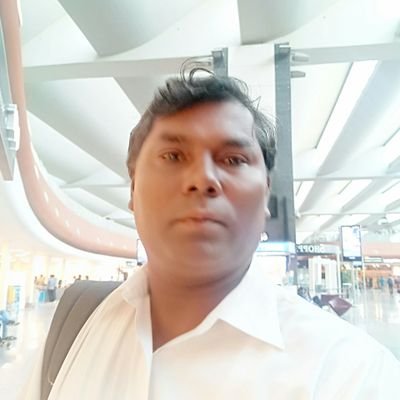 merp305pk's profile picture. 