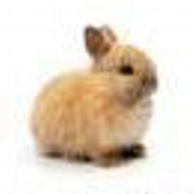 まっぷる (@mapple_star) | Twitter