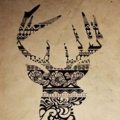 harajcoin's profile picture. One room for Cryptocurrency