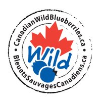 CanadianWildBlueberry(@canadianwildbb) 's Twitter Profile Photo