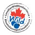 CanadianWildBlueberry (@canadianwildbb) Twitter profile photo