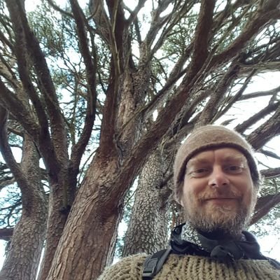 bodgerMorgan's profile picture. I'm a leather worker who also dabbles in greenwood working, pole lathe turning and willow basketry, using traditional and modern hand and foot powered tools.