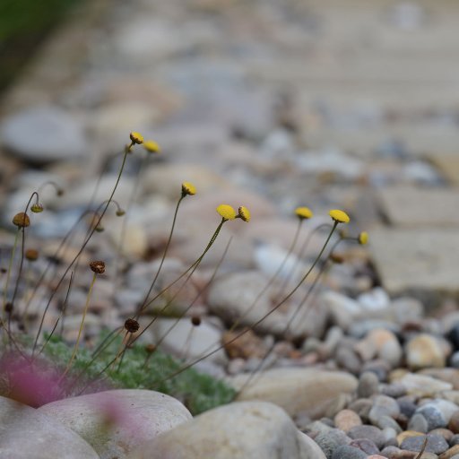 Garden and landscape design studio. Lovers of digging, nibbling and scribbling.