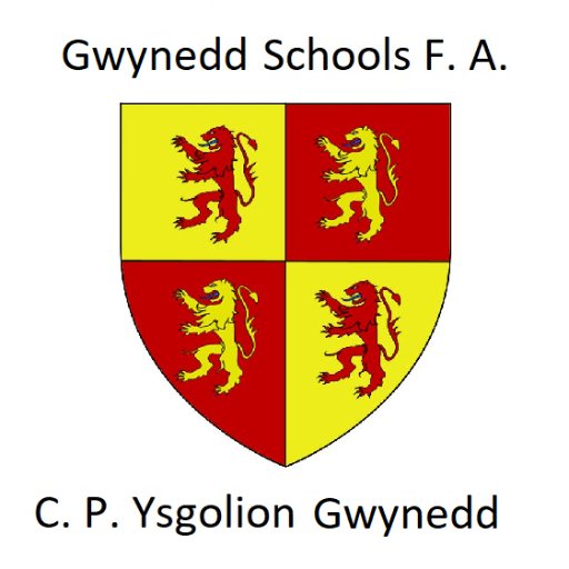 Gwynedd Schools' F. A. is responsible for the running of Participation Projects and Primary Festivals for Boys & Girls