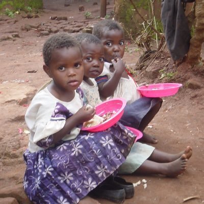 FOMOMulanje's profile picture. 