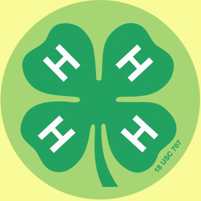 The 4-H Youth Development Program helps youth develop leadership, management and communication skills, self-esteem, personal responsibility and sound decisions.