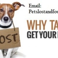 petslostandfound(@Runcornpetslost) 's Twitter Profileg