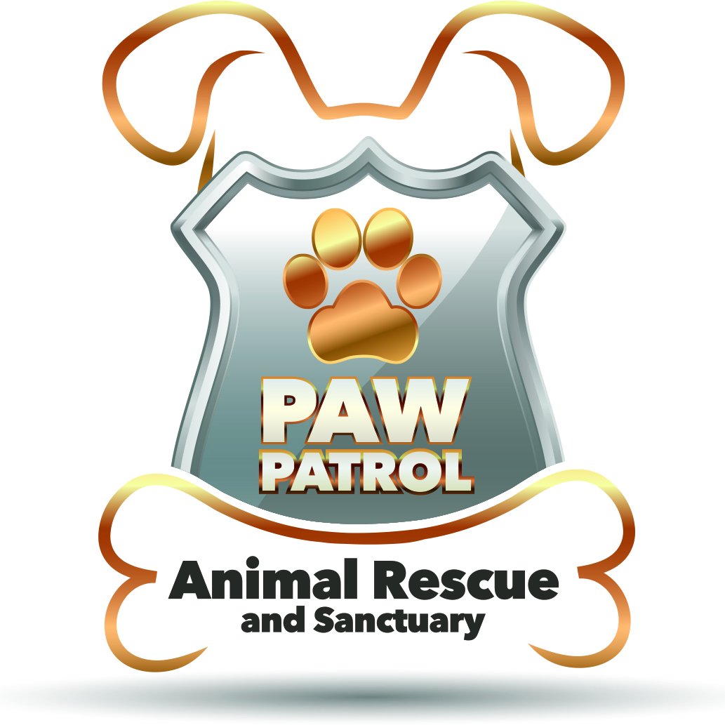 PPARASfla's profile picture. Paw Patrol Animal Rescue is a 501c3 non profit rescue organization in Miami, FL. Our mission is to find homes for homeless animals. https://t.co/GNOlO5k0n2